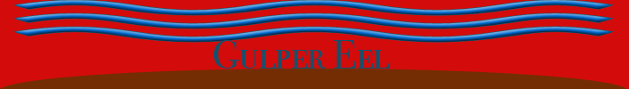 Gulper eel Banner
