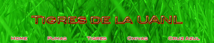 Tigres Banner