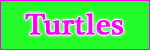 Turtles Button.