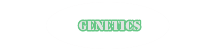 genetics button
