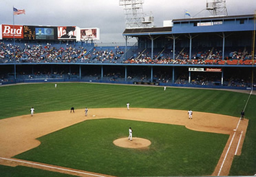 Tiger Stadium Picture