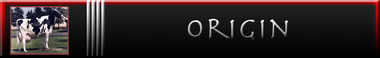 Origin Banner