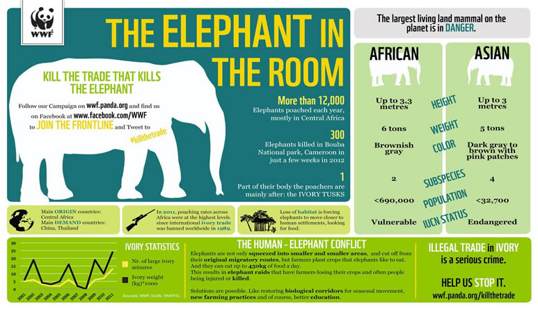 Population of African Elephants